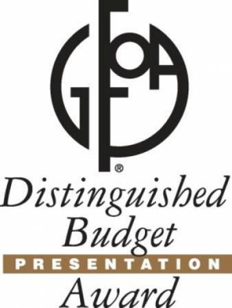 Government Finance Officers Association (GFOA) Distinguished Budget Award for  FY2021 Online Budget Report