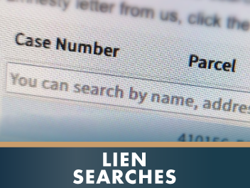 Lein Searches