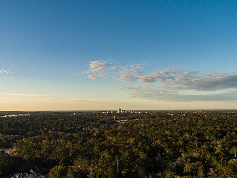 An aerial shot of Tallahassee's skyline