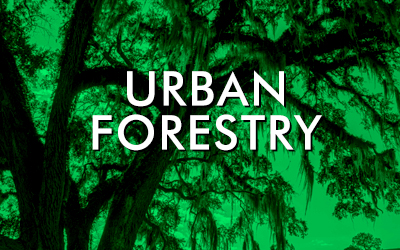 Urban Forestry News