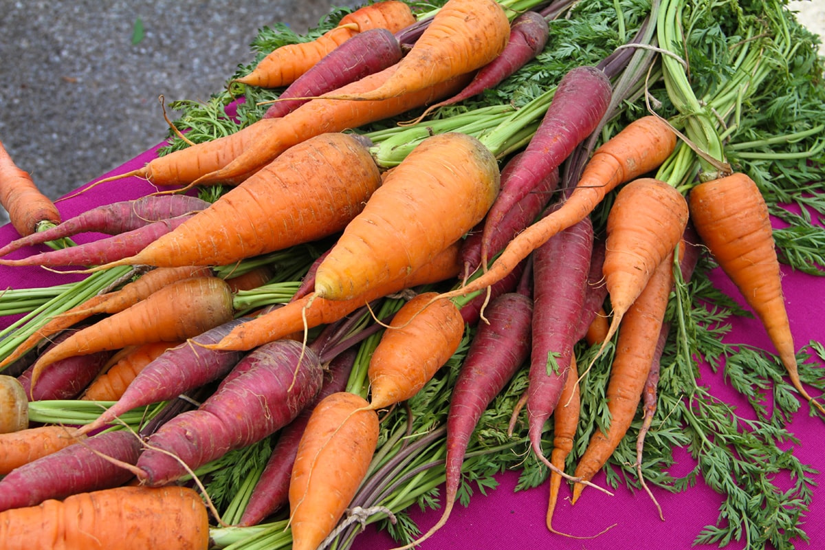 A variety of colorful carrots.